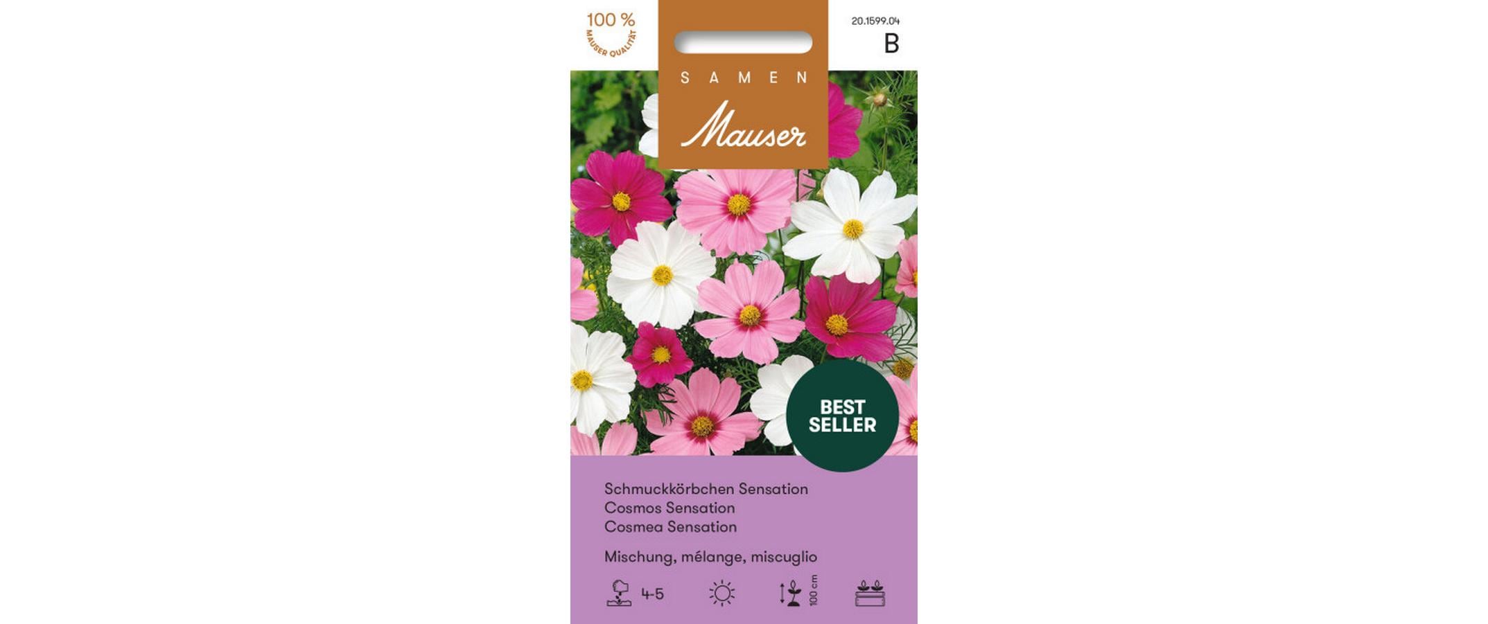 Schmuckkörbchen Sensation Mischung Cosmos bipinnatus