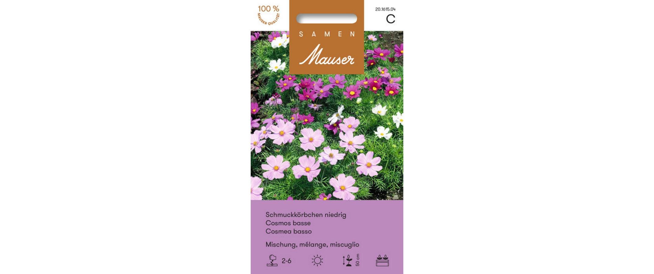 Schmuckkörbchen niedrige Misch. Cosmos bipinnatus