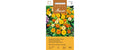 Ringelblume Gitana Fiesta Misch. Calendula officinalis