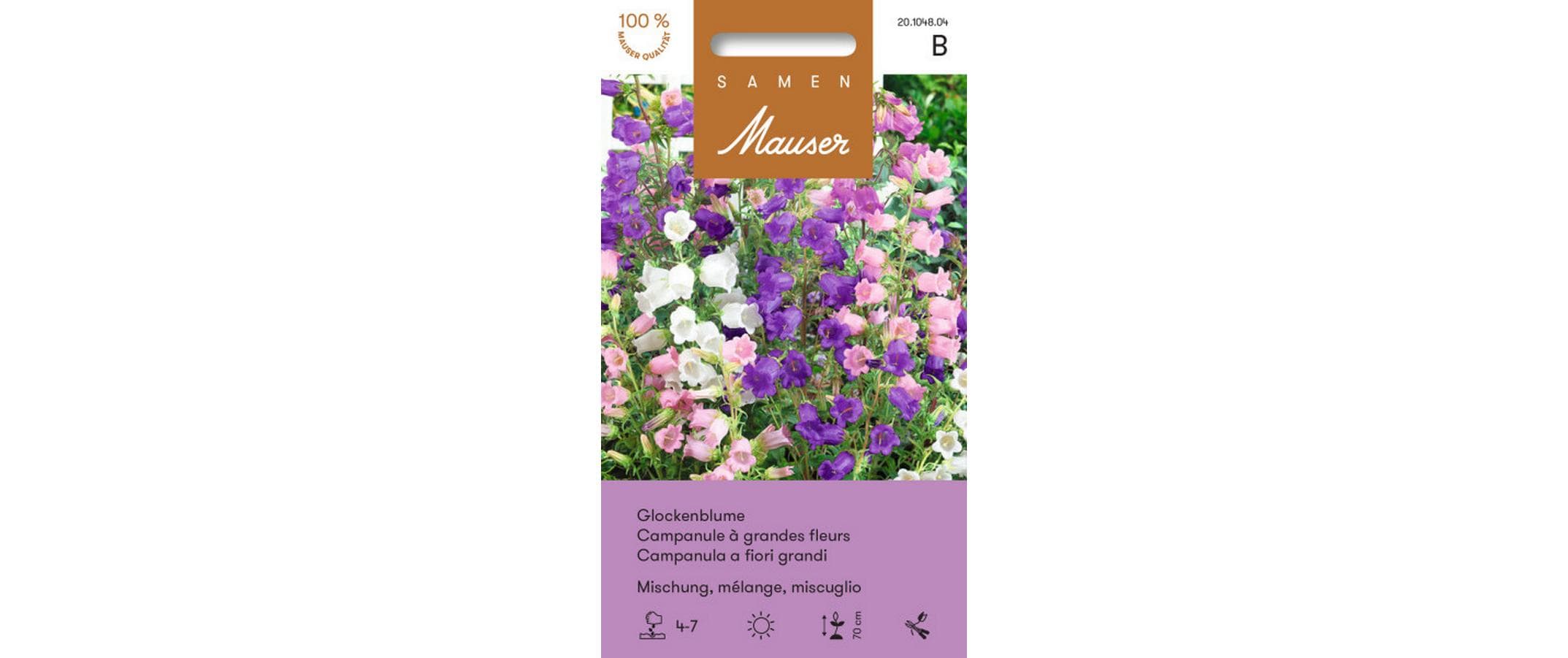 Glockenblume grossblumige Mischung Campanula medium