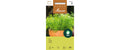 Dill, einjähriger Aus kontr. biol. Anbau Knospe