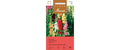 Stockrose Mischung Alcea rosea
