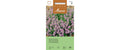 Thymian (Garten/Winter) Thymus vulgaris