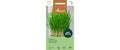 Katzengras 25g