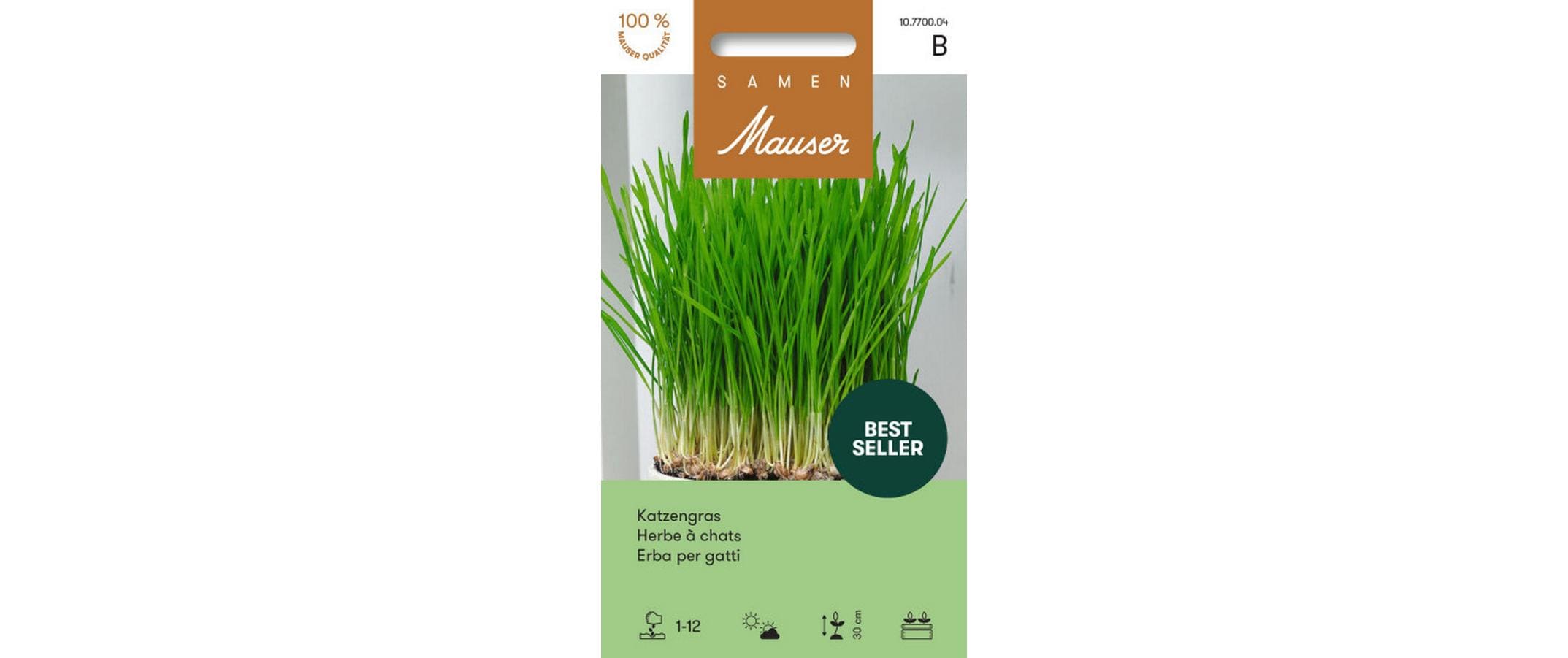 Katzengras 25g