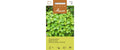 ZitronenBasilikum Ocimum basilicum