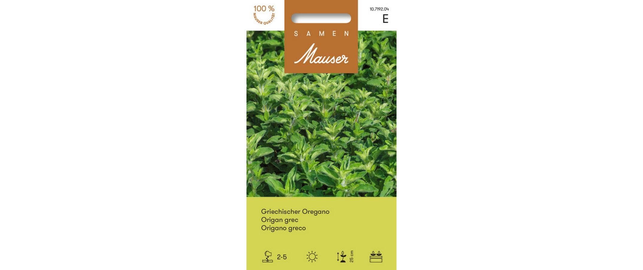 Griechischer Oregano Origanum heracleoticum