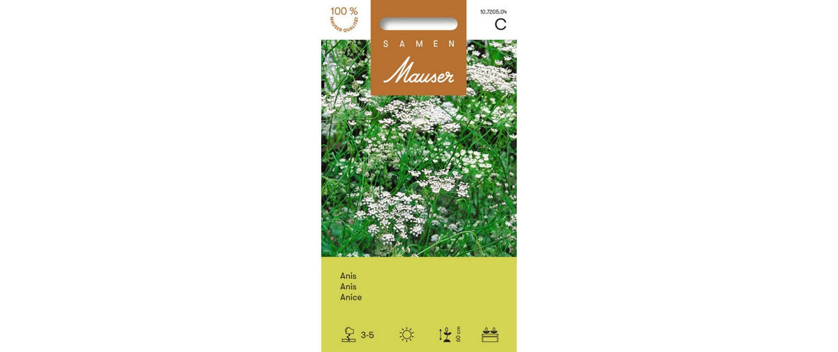Anis Pimpinella anisum