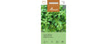 SommerMajoran Origanum majorana