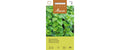 Zitronenmelisse Melissa officinalis