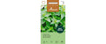 Pfefferminze Mentha piperita