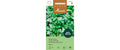 Blattkoriander Marino Coriandrum sativum