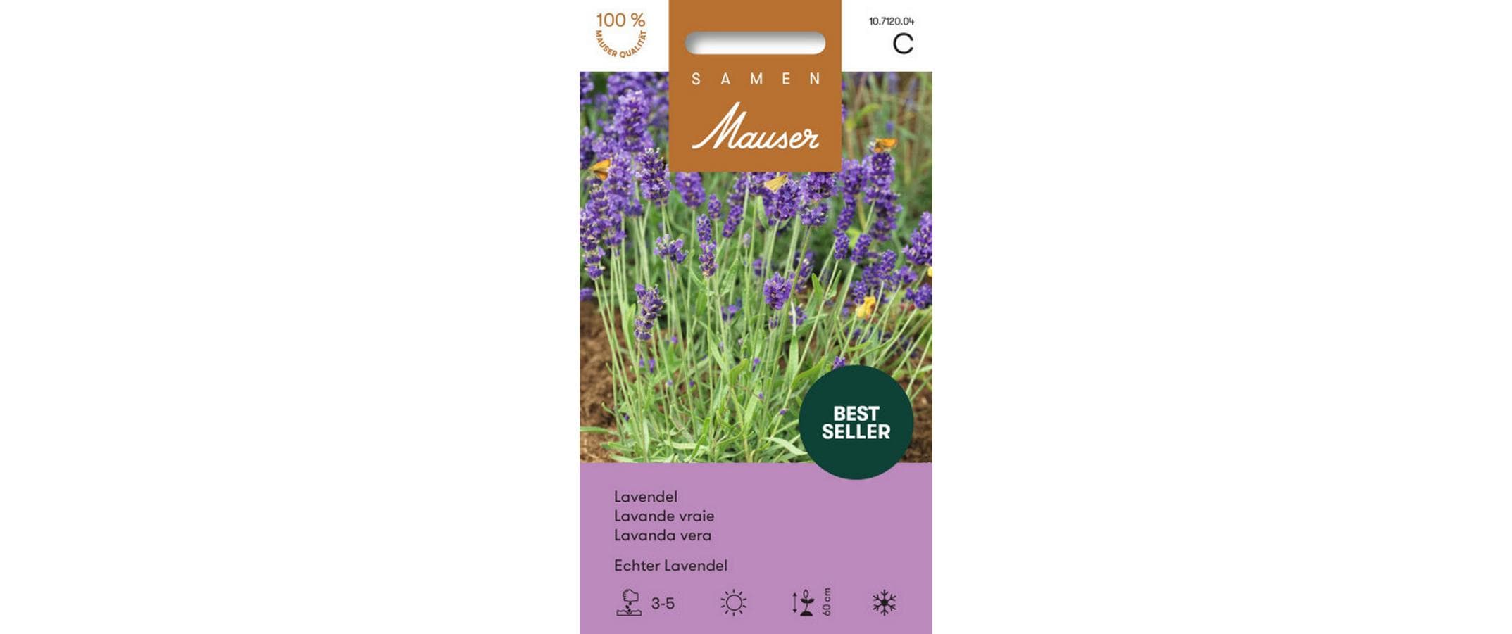 Echter Lavendel Lavandula angustifolia