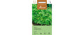 Kerbel Anthriscus cerefolium