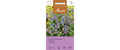 Borretsch (Gurkenkraut) Borago officinalis