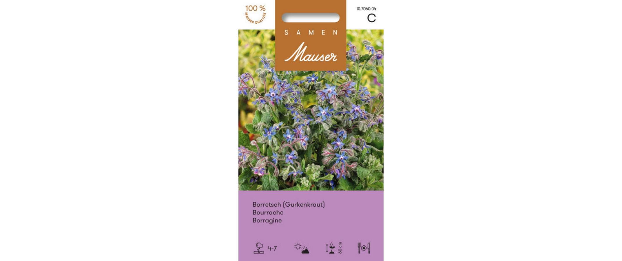 Borretsch (Gurkenkraut) Borago officinalis