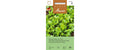 Zichorie Gelbe von Triest Cichorium intybus