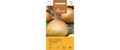 RiesenGemüsezwiebel Kelsae Allium cepa