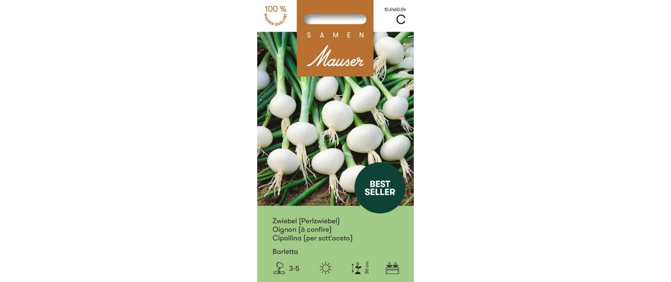 Zwiebel Barletta (Perlzwiebel) Allium cepa