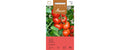 Tomate Harzglut Lypopersicon lycopersicum