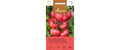 Fleischtomate Berner Rosen Lypopersicon lycopersicum