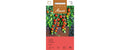 Tomate Totem Lypopersicon lycopersicum