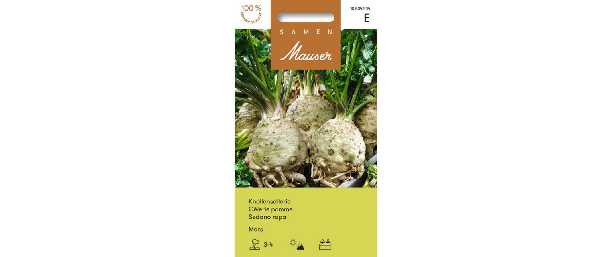 Knollensellerie Mars Apium graveolens