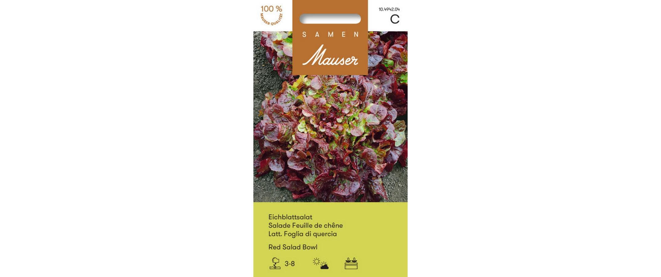 Eichblattsalat Red Salad Bowl Lactuca sativa var. Crispa
