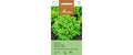 Pflücksalat Strubelpeter Lactuca sativa var. Crispa