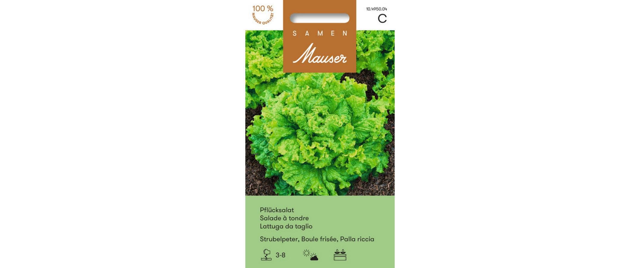 Pflücksalat Strubelpeter Lactuca sativa var. Crispa