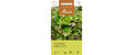 Winterlattughino Lactuca sativa var. Crispa