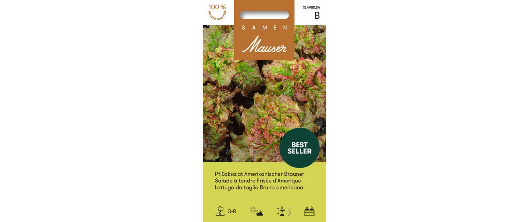 Pflücksalat Amerikanischer Brauner Lactuca sativa var. Crispa