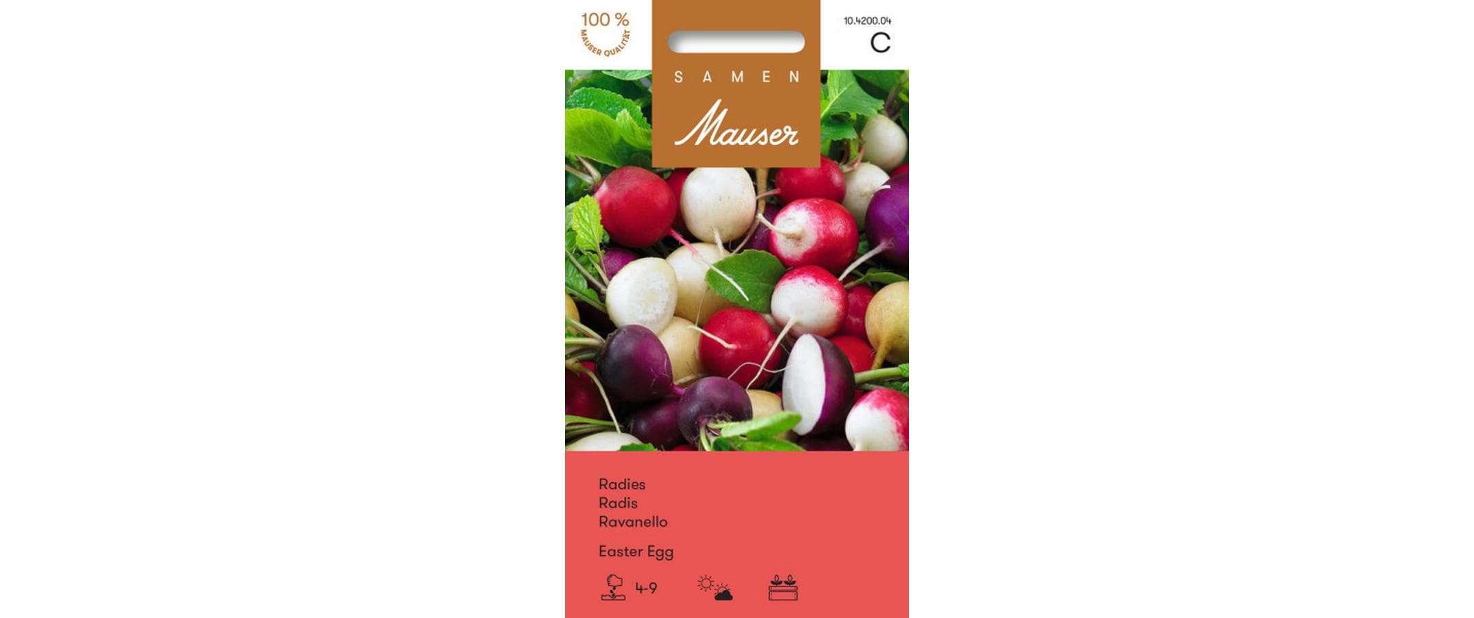 Radies Easter Egg Raphanus sativus var. Sativus