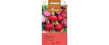 Rande Tonda di Chioggia Beta vulgaris