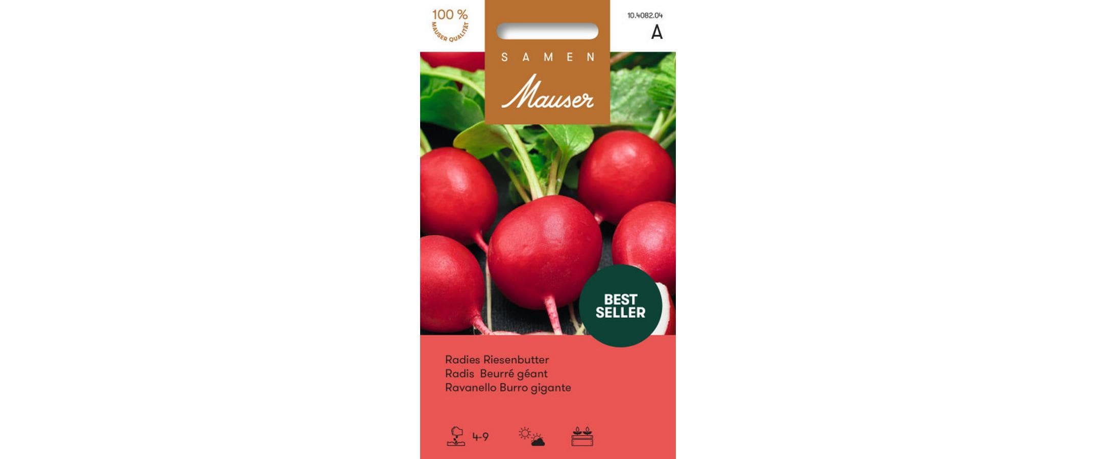 Radies Riesenbutter Raphanus sativus var. Sativus