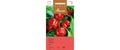 Peperoni Bell Capiscum annuum