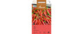 Chili de Cayenne rot Capiscum annuum de Cayenne