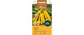 Zucchetti Goldbarren Cucurbita pepo