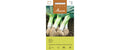 Lauch Carentan 2, für Winter Allium porrum