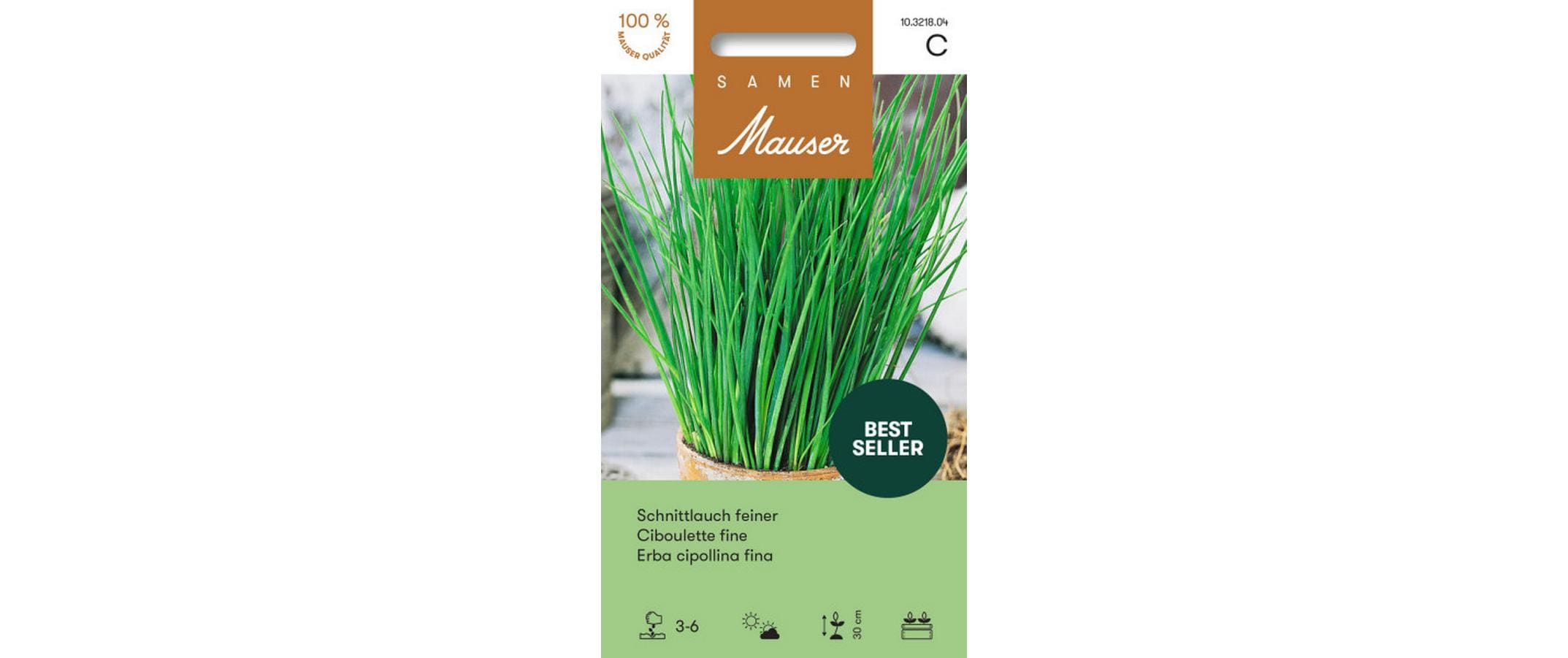 Schnittlauch feiner Allium schoenoprasum