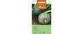 Zucchetti Ronde de Nice Cucurbita pepo