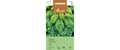 Federkohl Frosty Brassica oleracea
