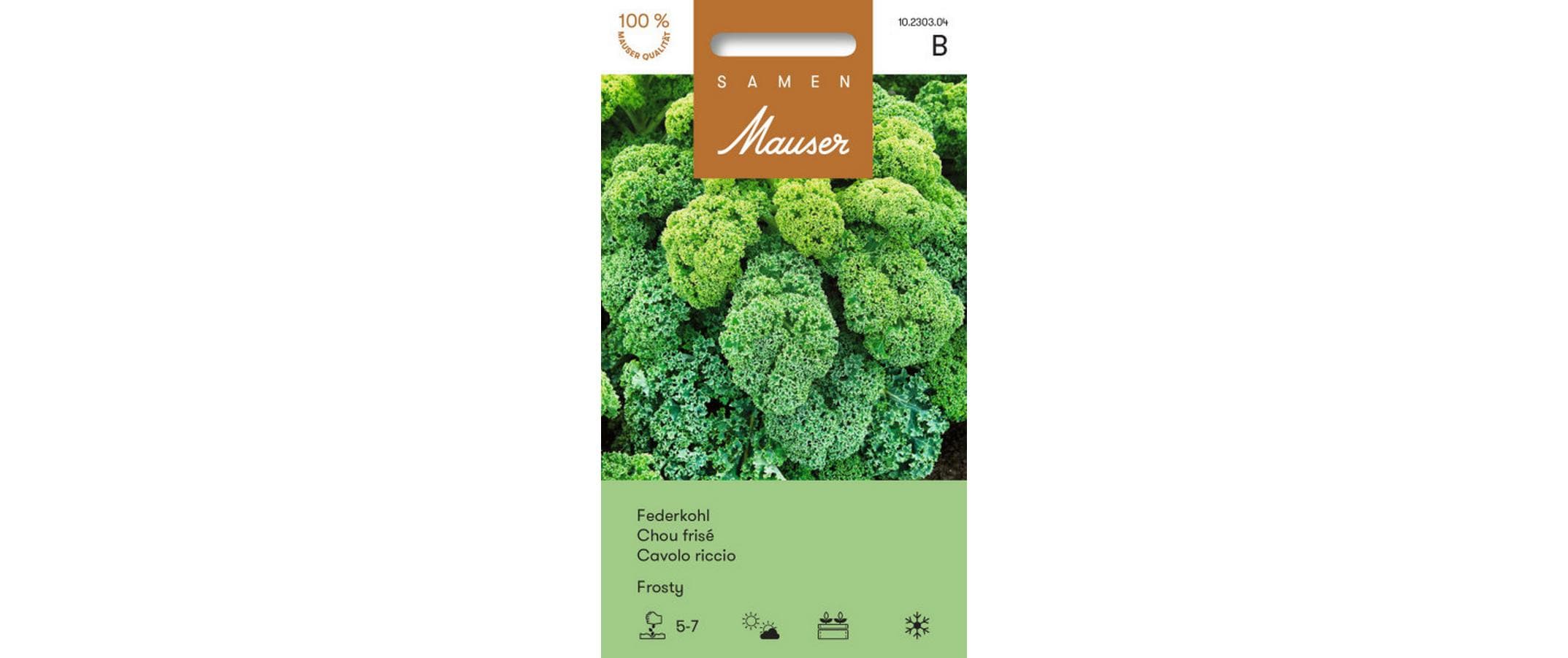 Federkohl Frosty Brassica oleracea