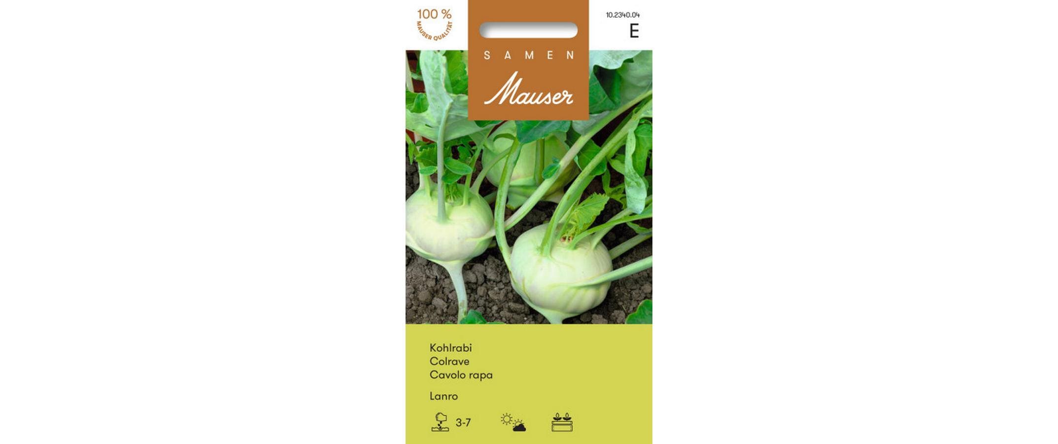 Kohlrabi Lanro Brassica oleracea var. Gongylodes