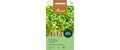 Gartenkresse, einfache Lepidium sativum