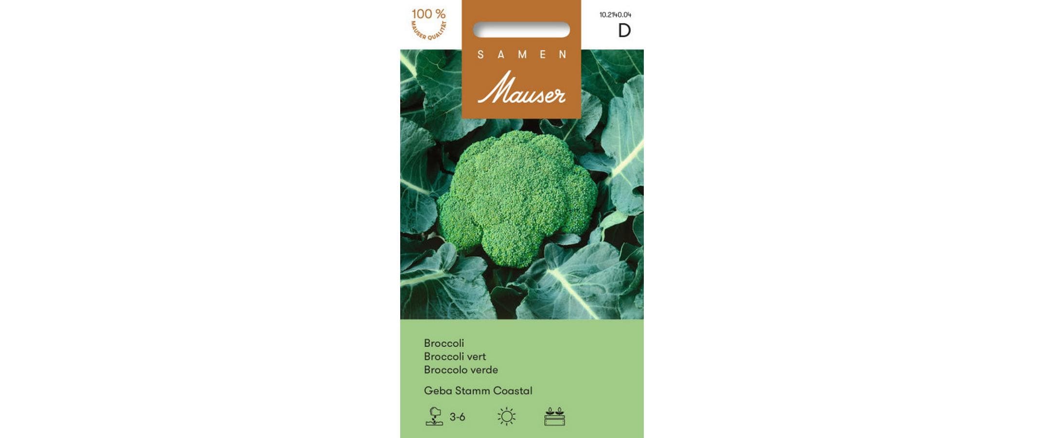 Broccoli Geba Stamm Coastal Brassica oleracea var. Italica