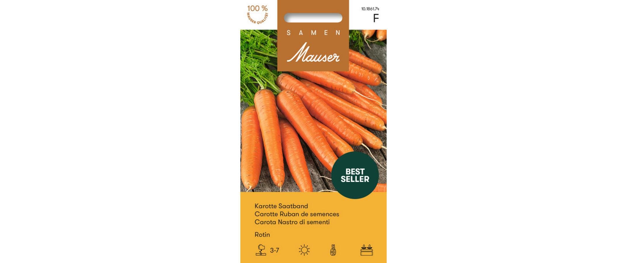 Saatband Karotte Rotin Saatband Daucus carota