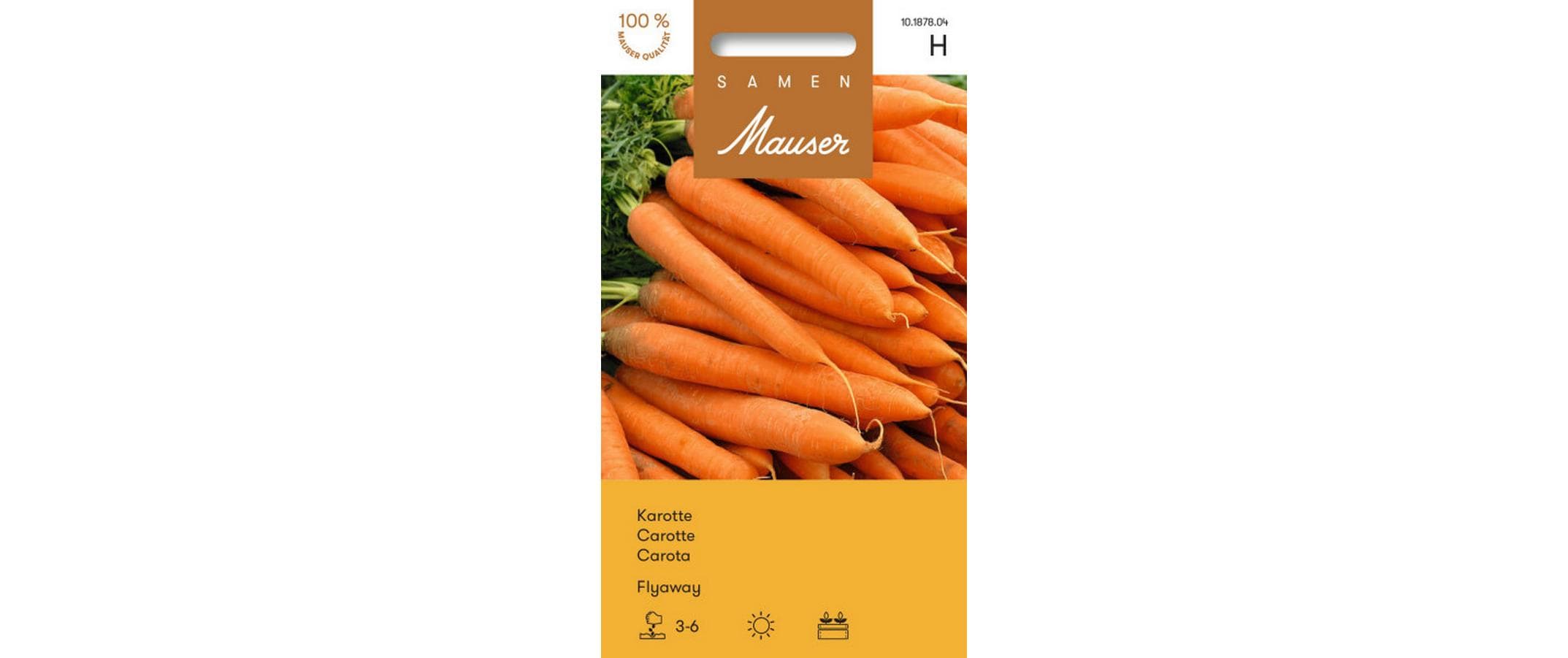 Karotte Flyaway Daucus carota
