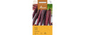 Karotte Purple Haze Daucus carota sativus
