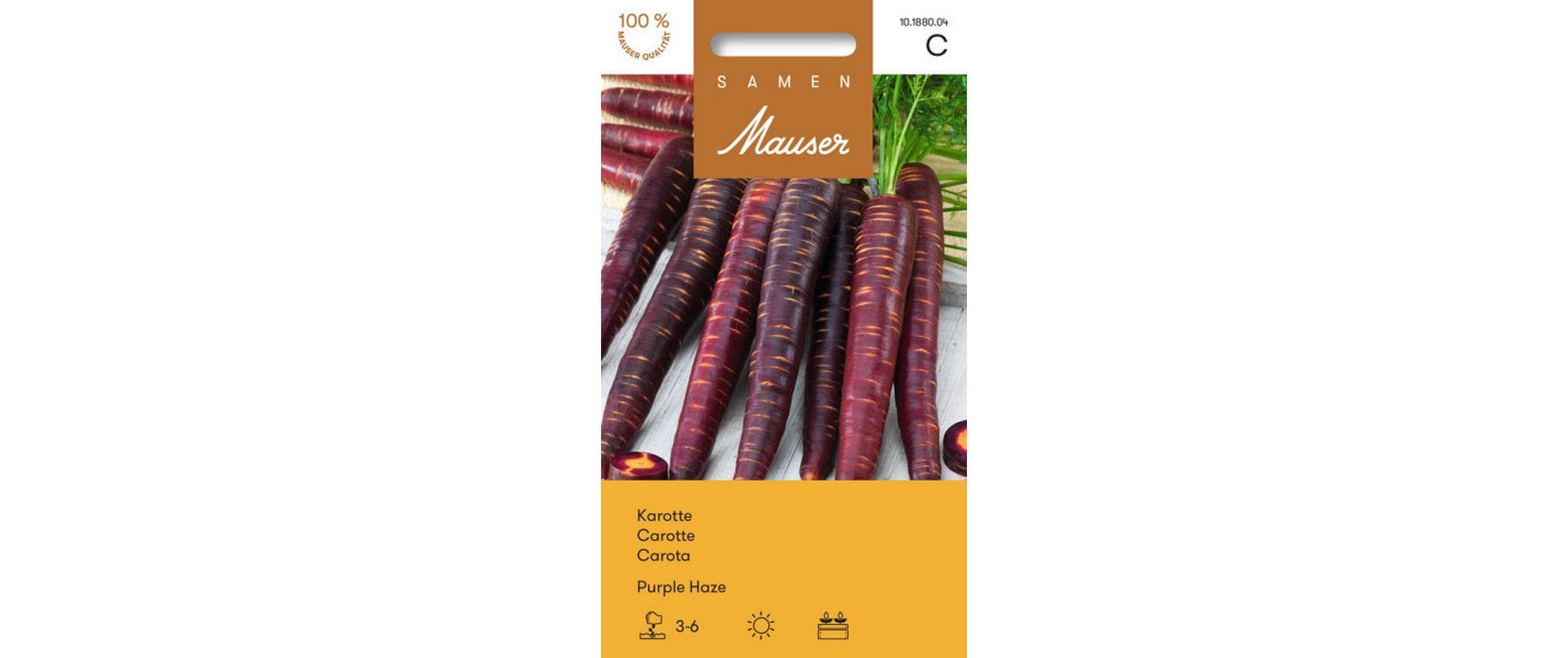 Karotte Purple Haze Daucus carota sativus